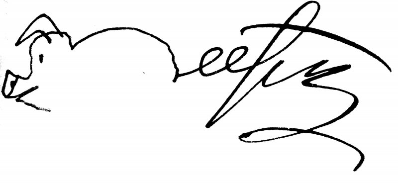 Яхта плывет по реке