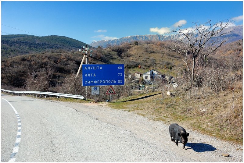 Дорога от Алушты до ай-Петри