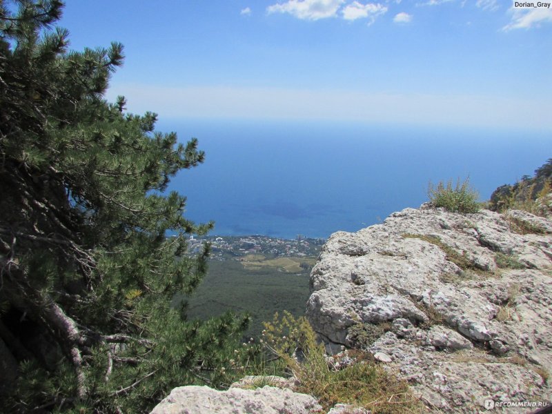 Алушта Крым пансионат полет