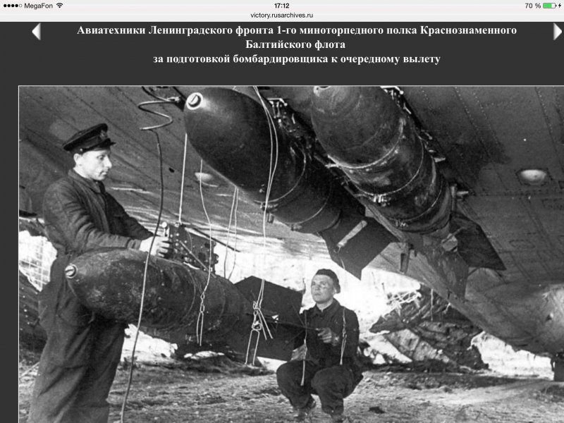 Авиационный техник ВВС РККА 1941-1945