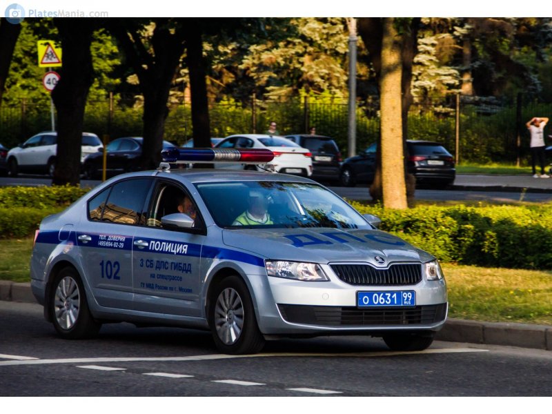 Škoda Octavia ДПС