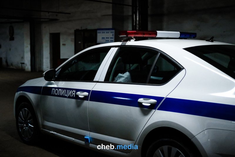 Шкода Октавия ДПС сзади