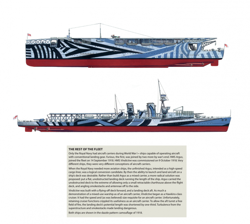 RFA Argus (a135)