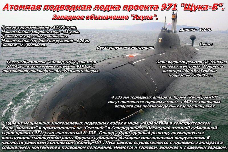 Мусинги на подводной
