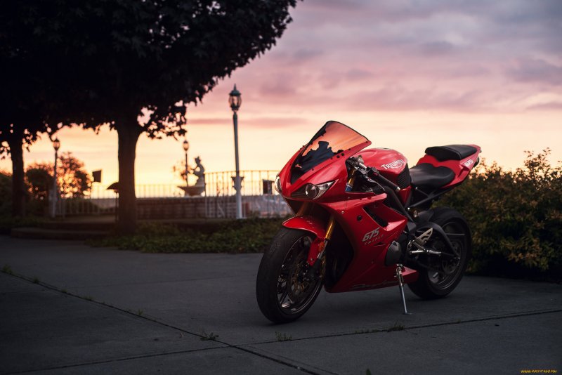 Triumph Daytona 675 Red