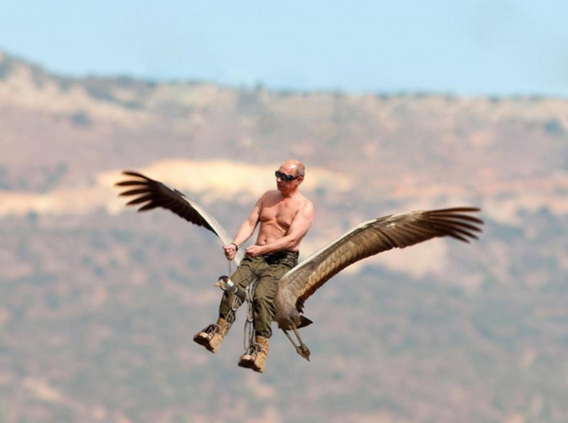 Путин верхом на стерхе