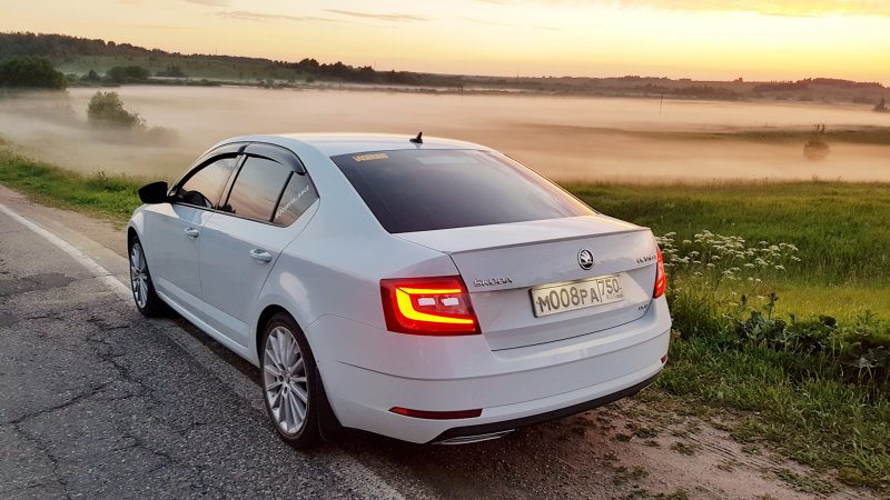 Skoda Octavia a8 белая