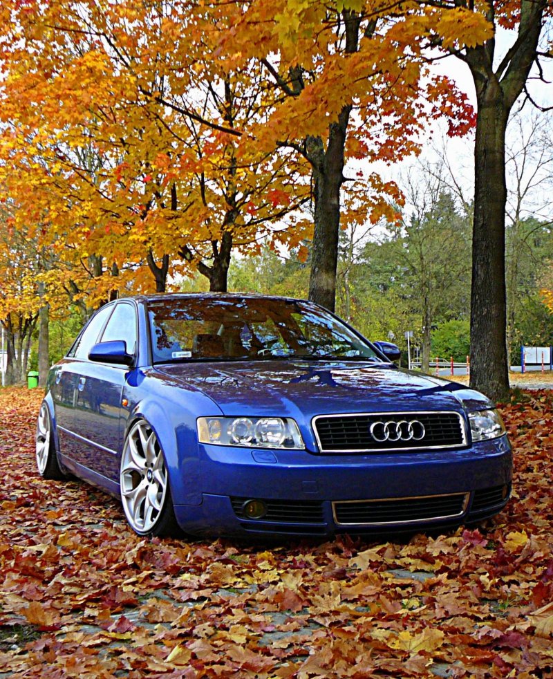 Audi a4 b6 avant Tuning