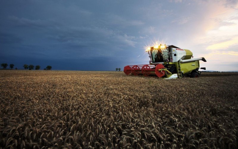 Комбайн CLAAS В поле