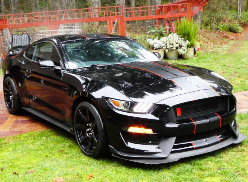 Ford Mustang 2011 Custom