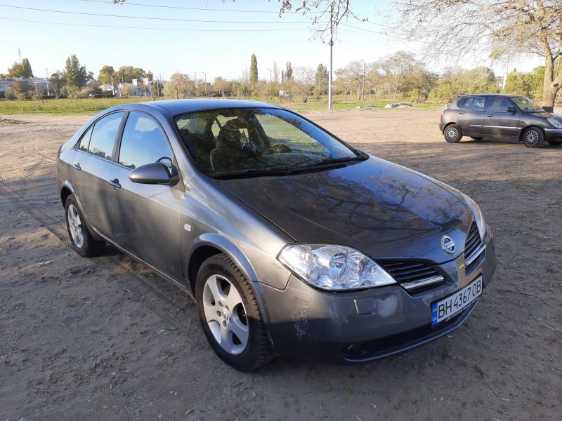 Primera p12 реснички