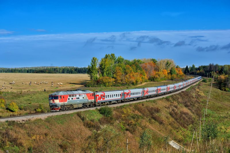 035а Северная Пальмира св