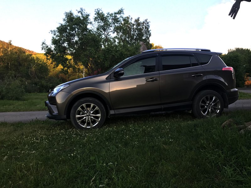 Toyota rav4 коричневый
