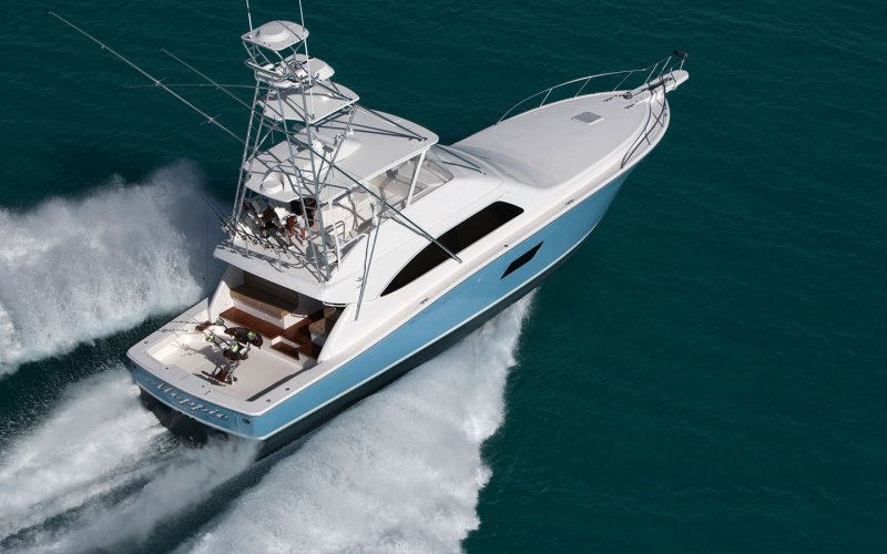 Bertram 50