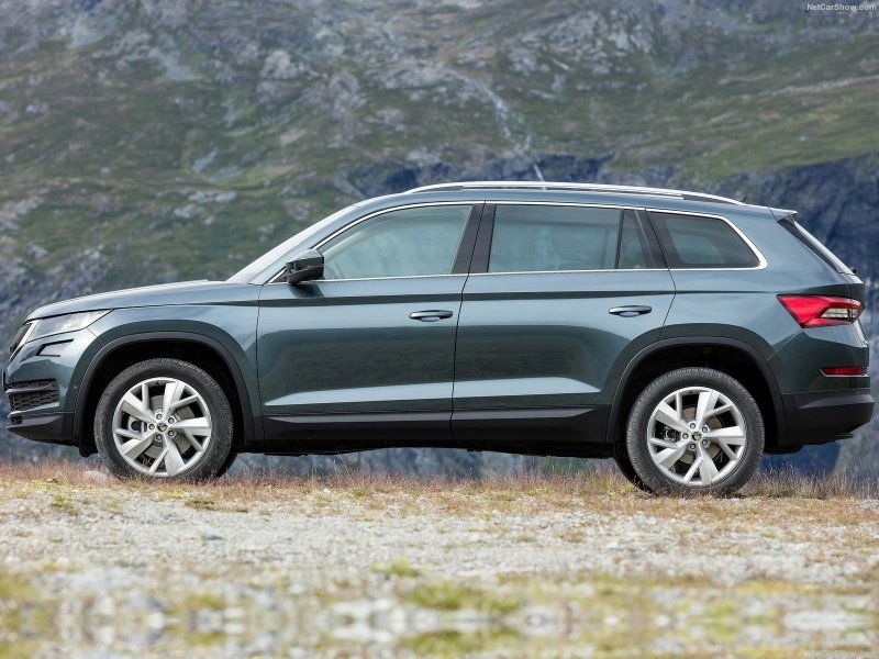 Skoda Kodiak медведь