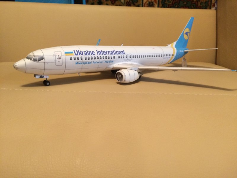 737-800 Вингл