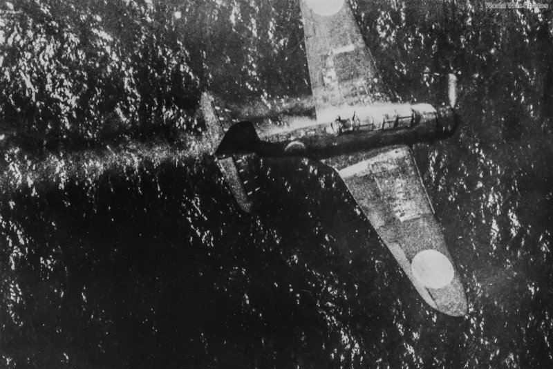 B5n «Кейт»