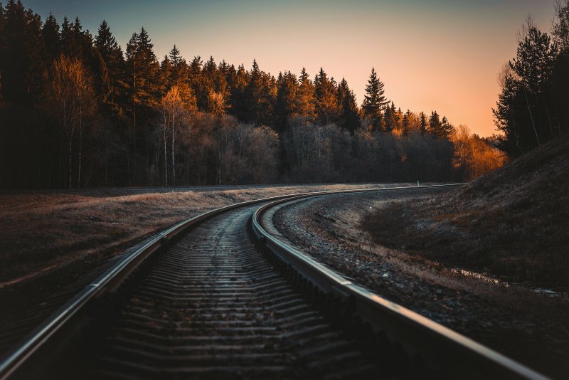 Железная дорога в лесу