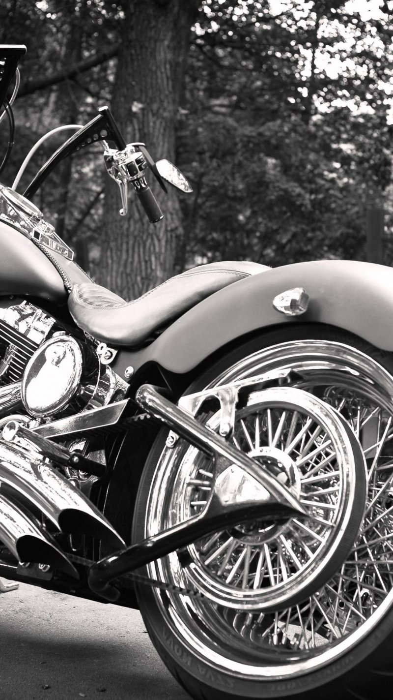 Suzuki Bandit Series