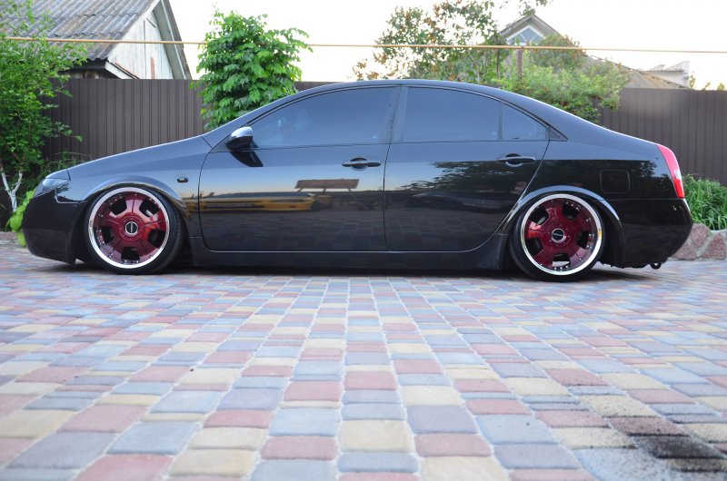 Nissan primera p12 стэнс