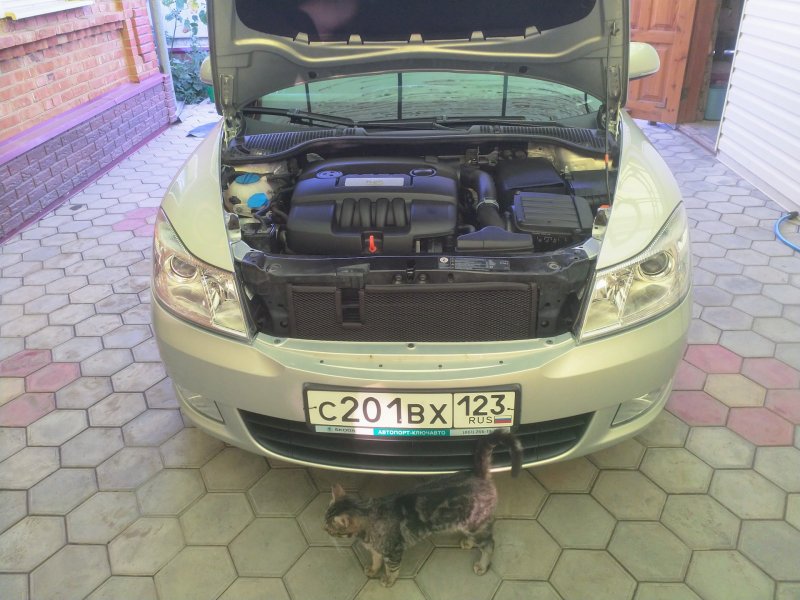Skoda Octavia a5 подкапотное