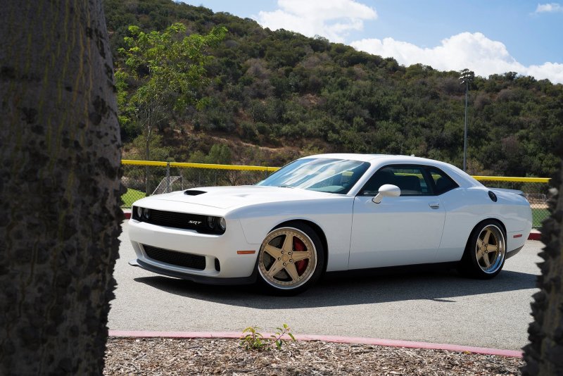 Dodge Challenger White