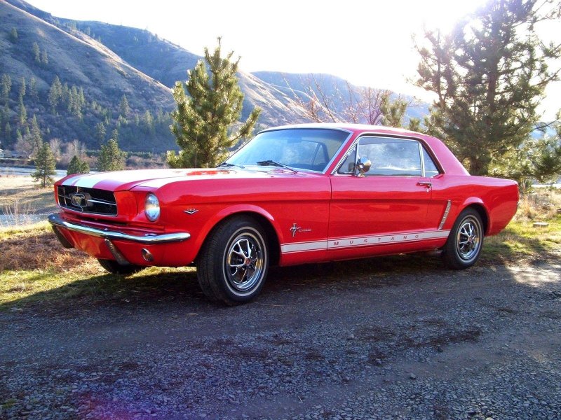 Ford 1965