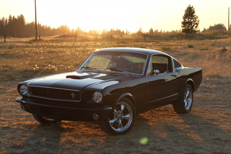 1965 Ford Mustang Blue