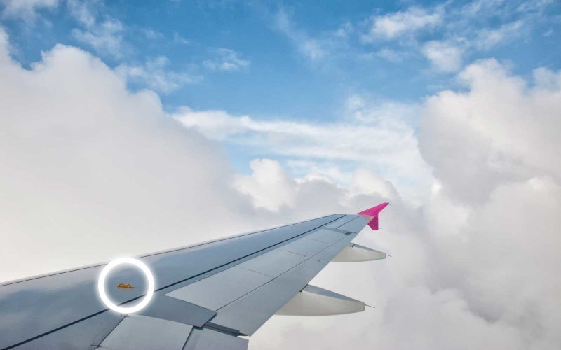Fabric Wing plane