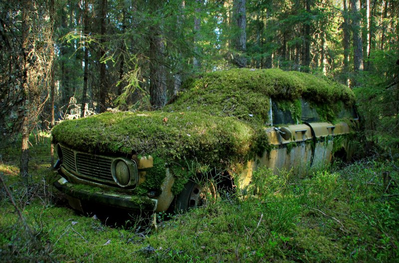 Заброшенные автомобили