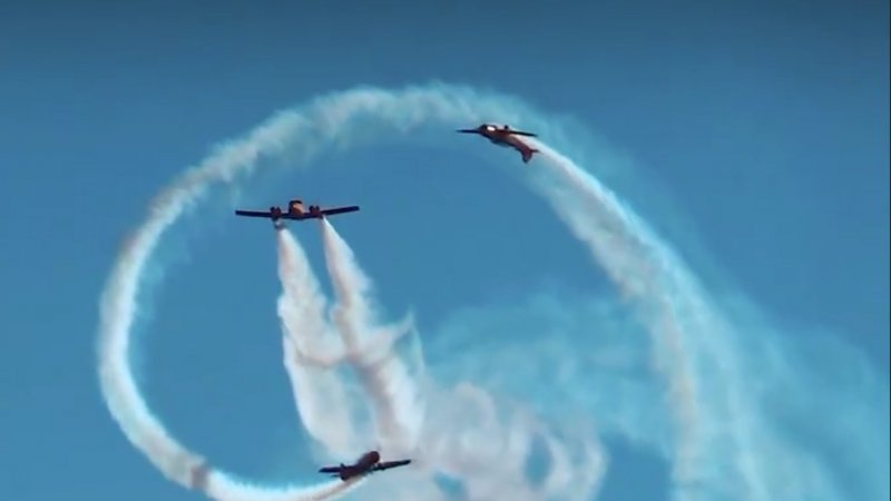 Роспуск тюльпан русские Витязи