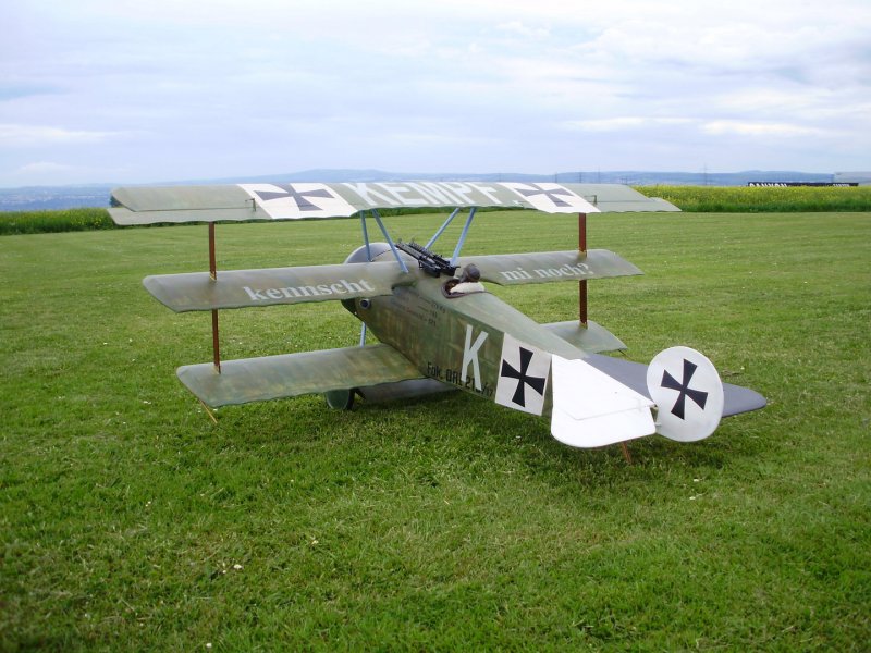 Avro Roe i Triplane