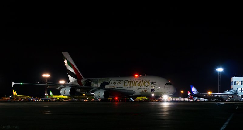 Самолет Эмирейтс а380 в Домодедово