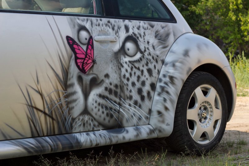 Аэрография Honda