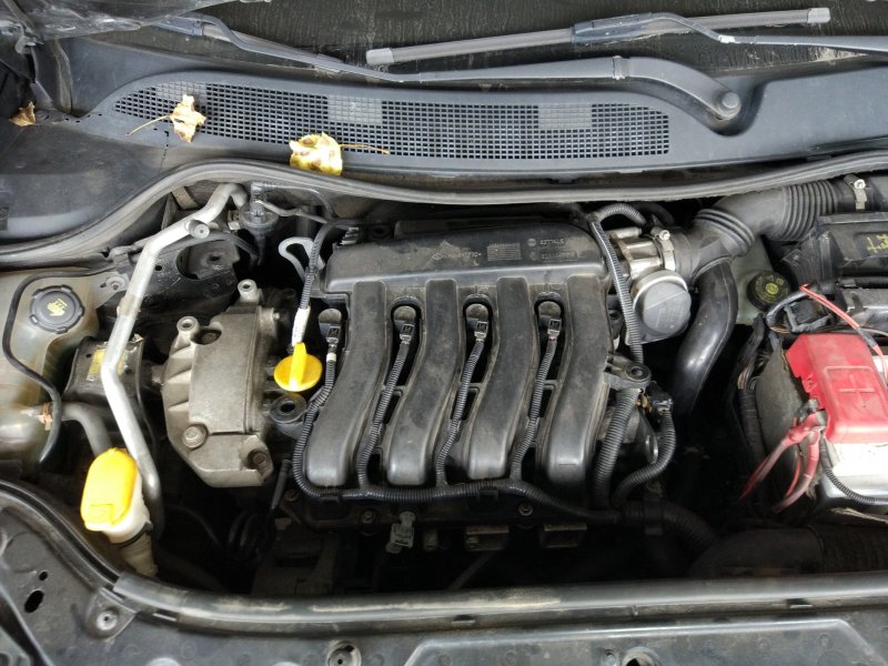 Renault Megane Blue