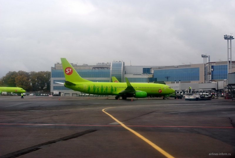 Аэропорт Домодедово s7 Airlines