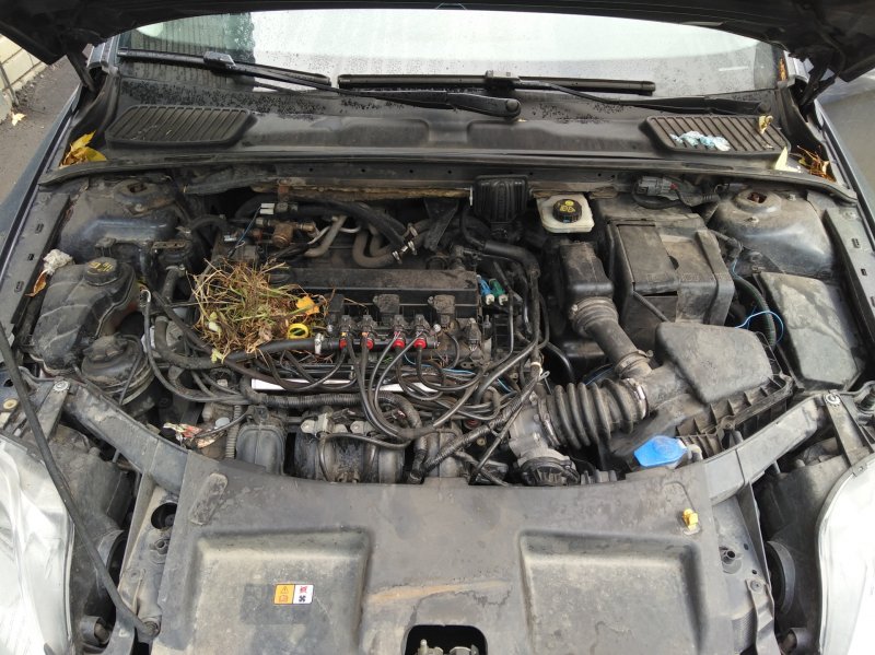 Ford Mondeo 2.3 под капотом
