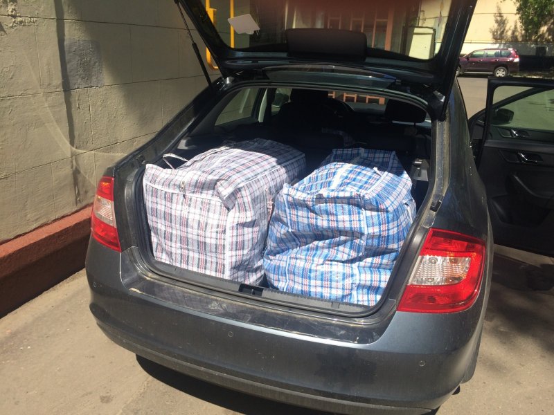 Skoda Rapid 2015 1.6 багажник