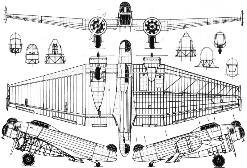 Бомбардировщик к-12 "Калинин" ("Жар-птица")