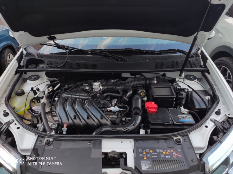 Renault Sandero Stepway промывка инжектора