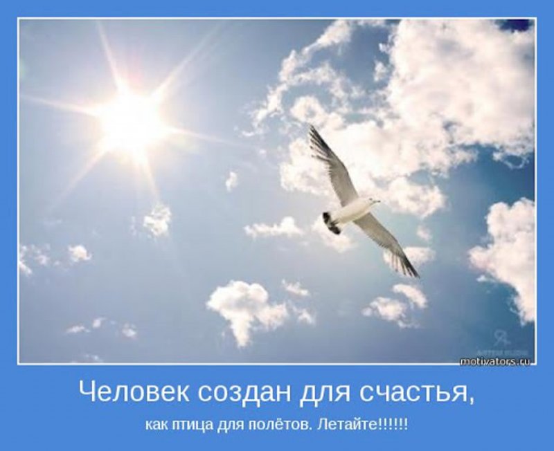 Доброе утро самолет