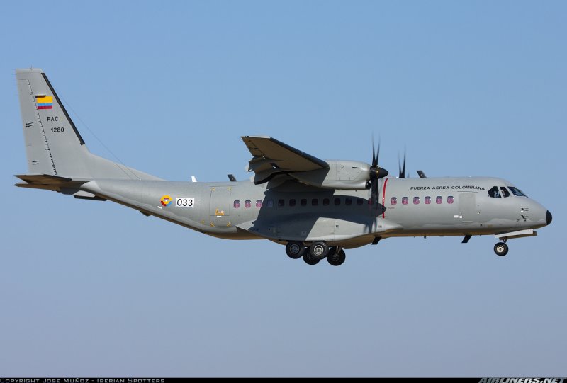 +WFP c295