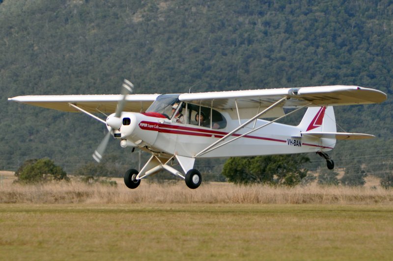Piper pa 18
