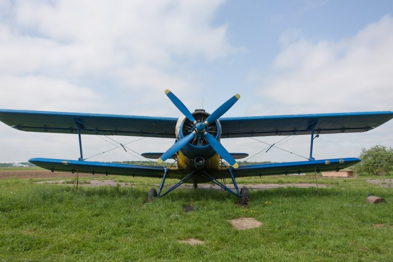 Самолет ан2 вид сбоку