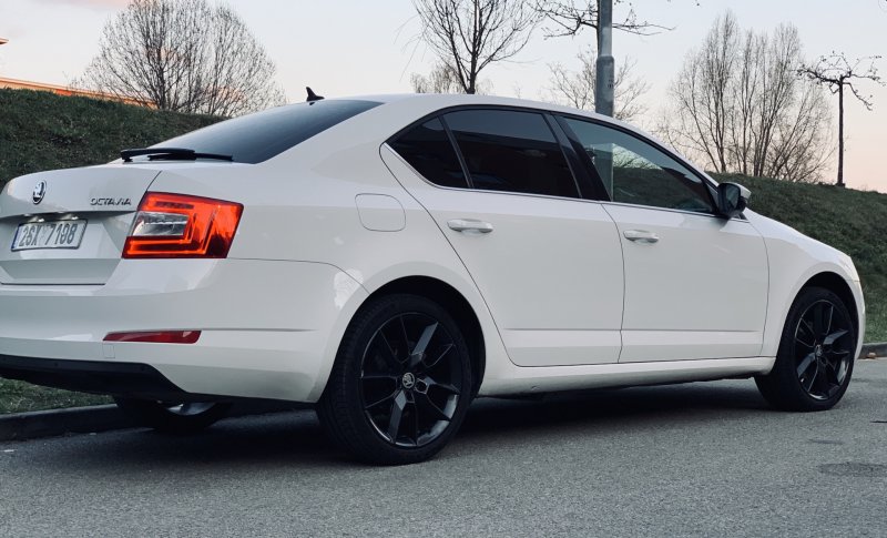 Skoda Gemini r18