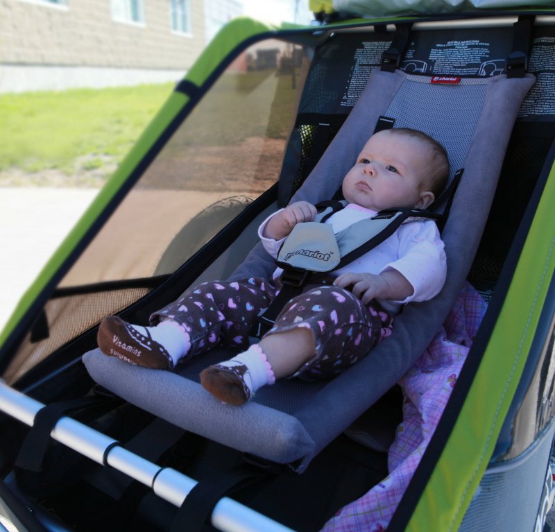 Thule сиденье слинг для младенцев для коляски Chariot Infant Sling