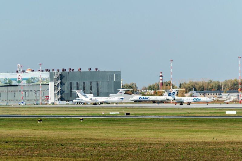 Полет Курск