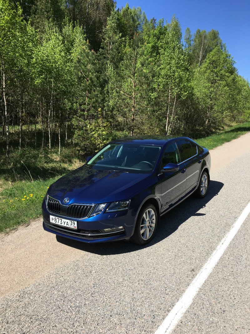 Октавия а8 2021