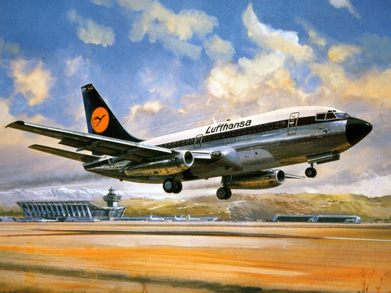 Боинг 737 картина