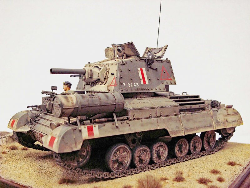Gecko models 35gm0003